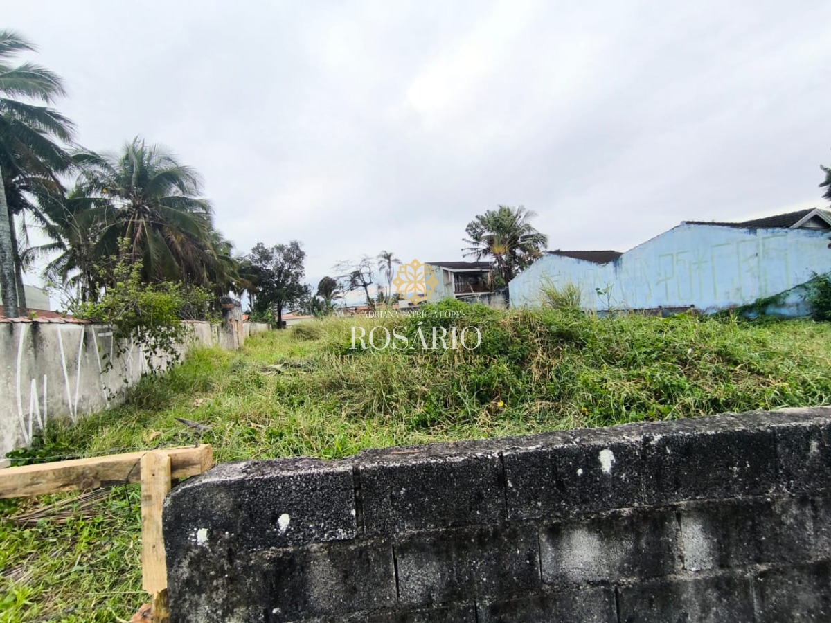 Área frente ao mar em caraguatatuba à venda na praia das pal - foto 3