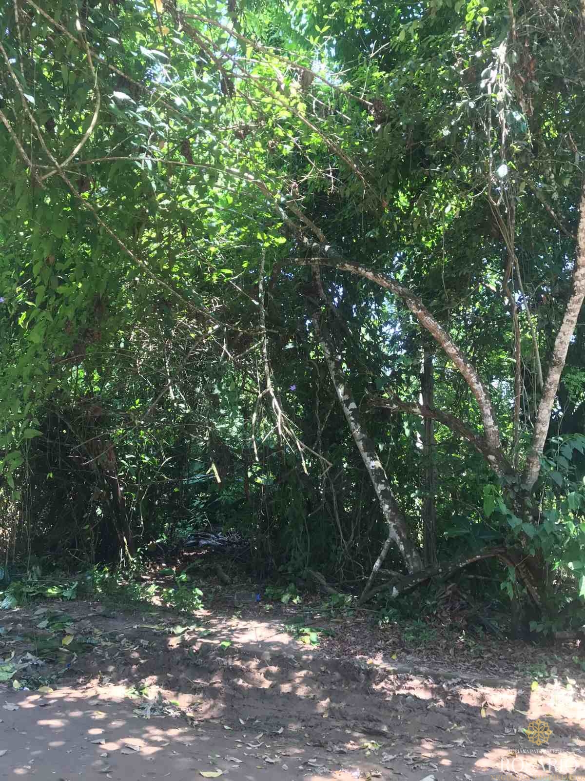 Terreno com 503m² em Itamambuca