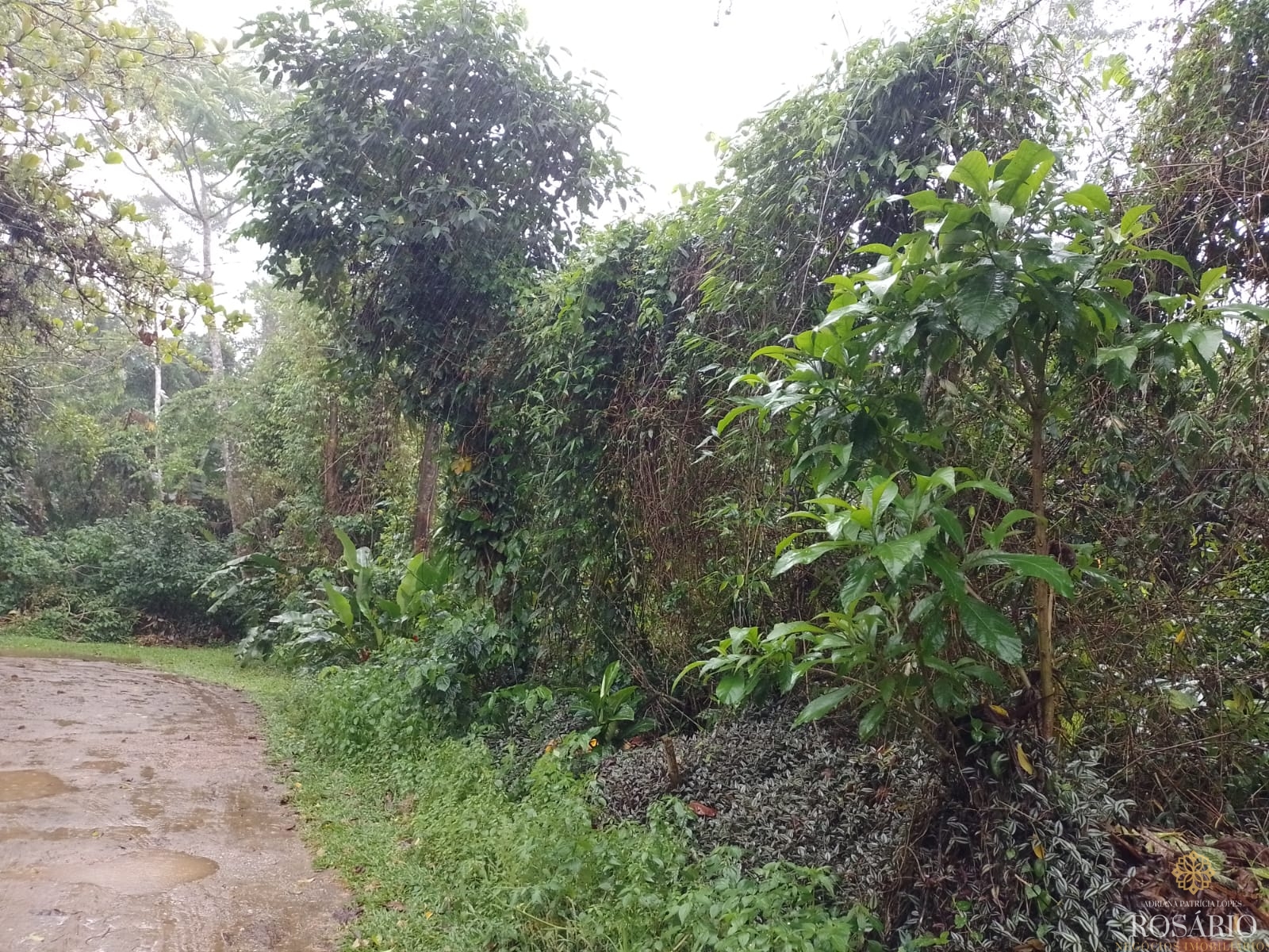 Terreno no condominio itamambuca em ubatuba - foto 6