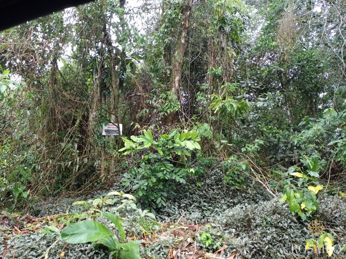 Terreno no condominio itamambuca em ubatuba - foto 5